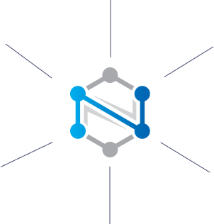 לוגו NETWEB עם קווים