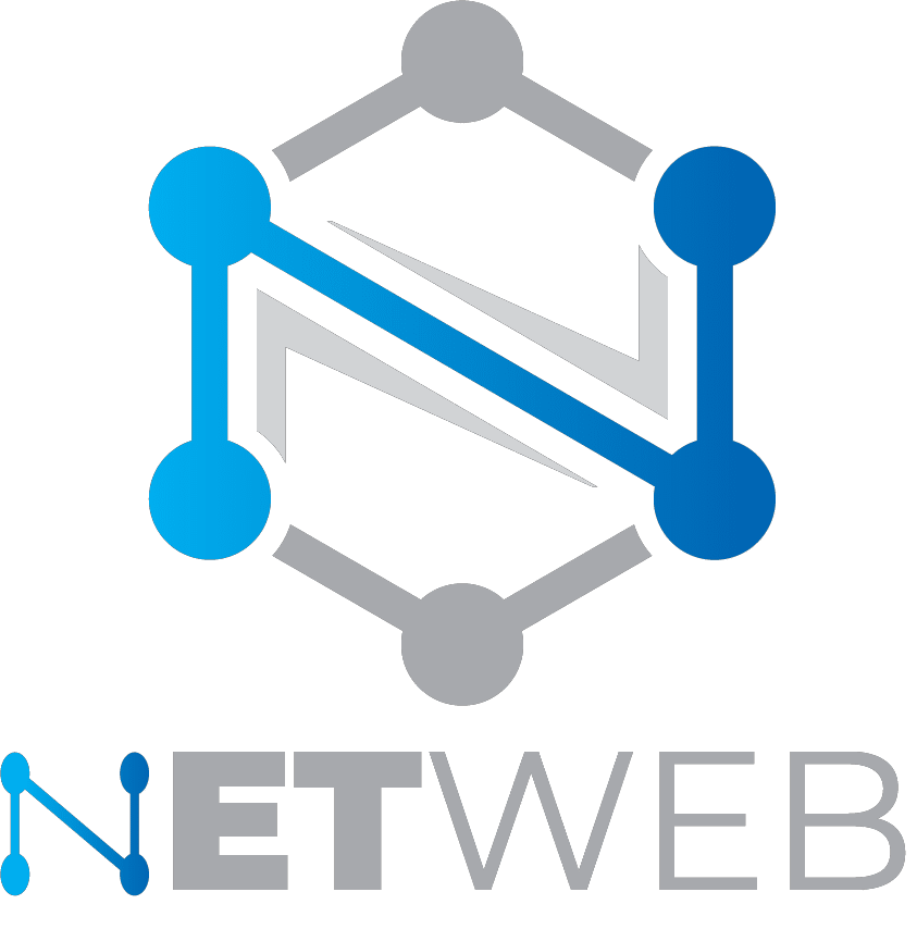 לוגו NETWEB